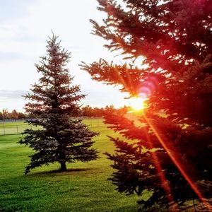 Meet your Posher, September